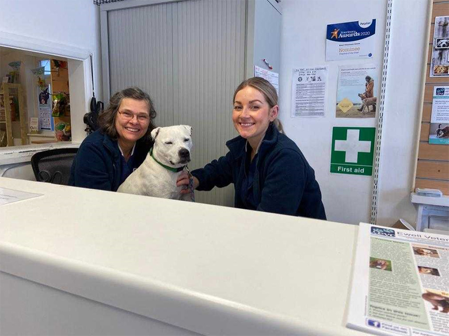 Veterinary Surgeon Vacancy Photo 1