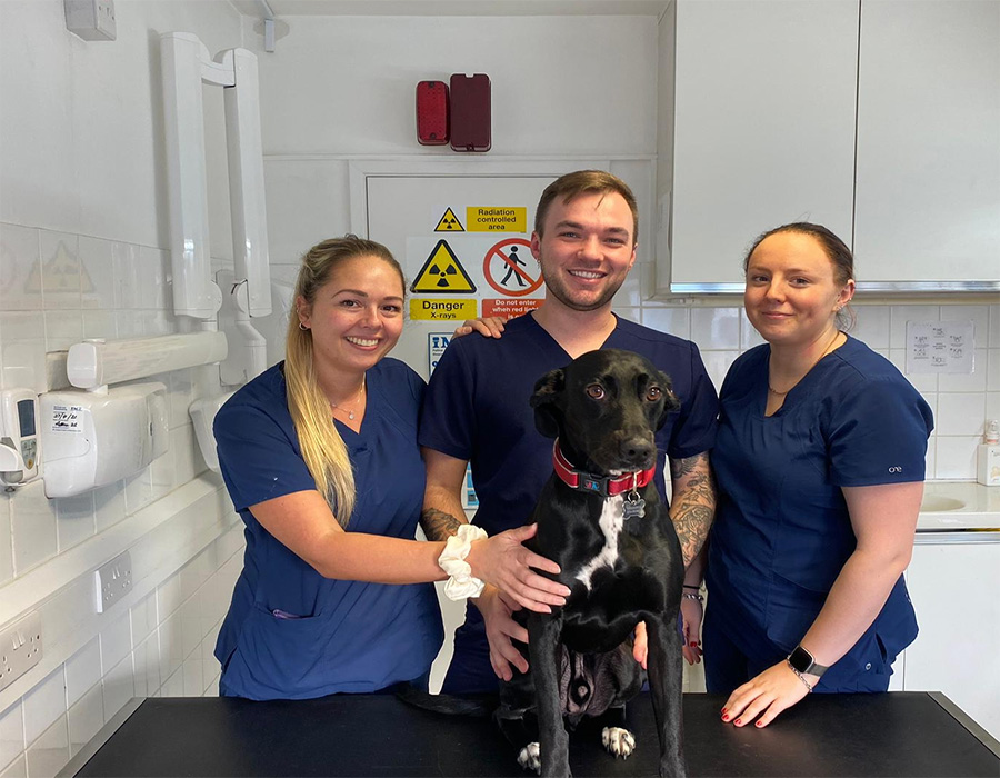 Veterinary Surgeon Vacancy Photo 1
