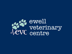 Tracy Evans BVSc MRCVS